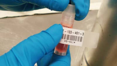 A lab technician applying a Brady self-laminating label to a sample tube.