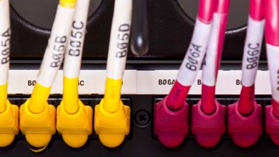 Groupings of yellow and red cables in a panel identified with white labels.