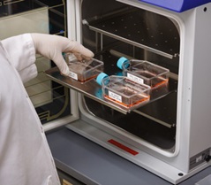 Case Study: reliable and automated histology sample tracking