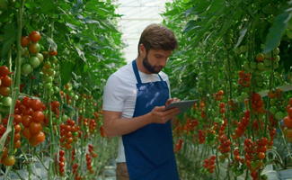 man monitoring his plants using a tablet